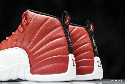 Hyperoad Jordan 12 Air 